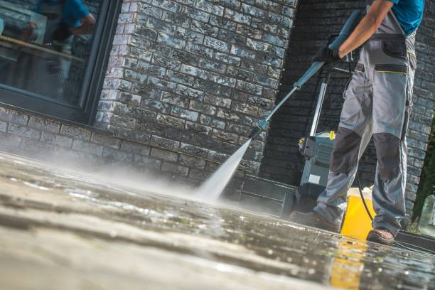 Best Soft Washing for Delicate Surfaces in Elmendorf, TX